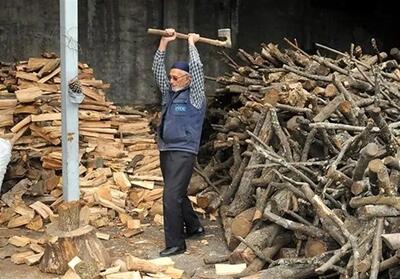 تصاویر اختصاصی از آخرین هیزم‌فروشان تهران