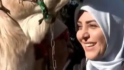  کلید اسرار؛ کنایه نیش دار المیرا شریفی مقدم به انسان های شتر صفت زندگی اش: به آدم قدرنشناس که کینه به دل بگیره بخواد بهت ضربه بزنه میگن کینه شتری داره/ شتر نباشید!