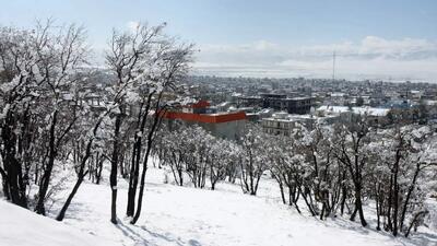  سفیدترین رویای زمستان در قلب کهگیلویه + فیلم