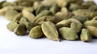 معرفی بهترین ادویه ها برای تازه کردن نفس و رفع بوی بد دهان