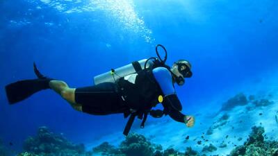  عملیات نجات؛ خارج کردن قلاب از دهان کوسه + فیلم