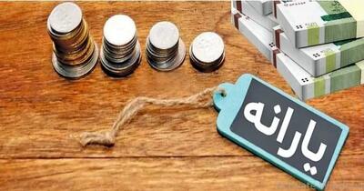 آغاز ثبتنام جداسازی یارانه برای مجردان؛ چگونه یارانه مستقل از سرپرست خانوار بگیریم؟