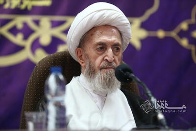  پیام حضرت آیت‌الله سبحانی به نکوداشت دکتر مهدوی راد: نوشته هاى قرآنى و تاریخى او بسیار آموزنده و راهگشها است