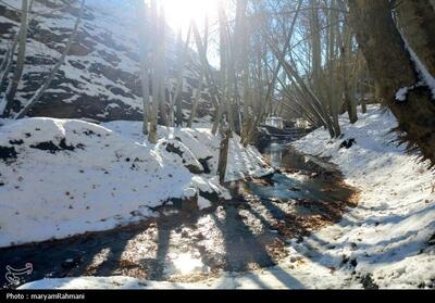 سپاه و بسیج سقز پای کار بازگشایی راه‌های روستایی آمدند - تسنیم