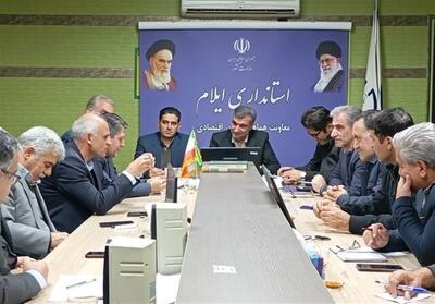 عرضه مستقیم 17 قلم کالای اساسی در ایلام - تسنیم