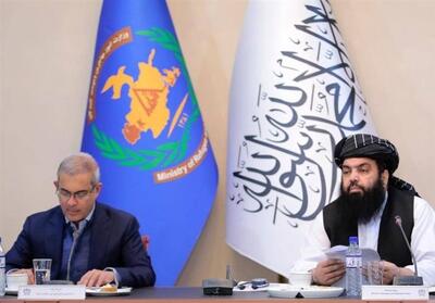 یوناما: 2.5 میلیارد دلار برای حل مشکلات مهاجران افغان هزینه شده است - تسنیم