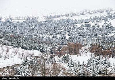 برف آمد، برق رفت، راه‌ها بسته ماند؛ روستاها چرا هنوز در تاریکی‌اند؟ - تسنیم