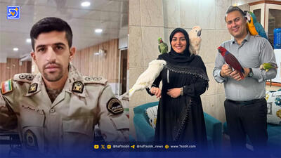  واکنش المیرا شریفی‌مقدم به جان‌باختن مرزبان ایرانی بر اثر یخ‌زدگی