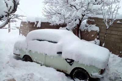  بارش سنگین برف در مریوان؛ ارتفاع برف در روستای قلقله به نیم‌متر رسید (فیلم)