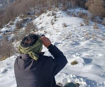 سرشماری پستانداران شاخص استان مازندران