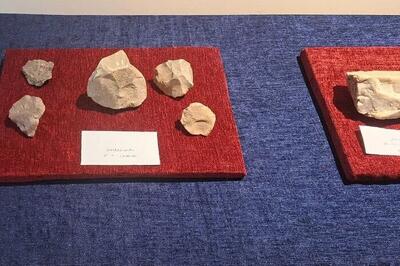  کشف ۲۴ محوطه پارینه‌سنگی در خراسان شمالی