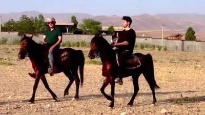 شوکه‌کننده‌ترین پشت‌صحنه بامداد خمار؛ دانیال پورصباح جنتلمن‌ترین چهره سال؟ + فیلم