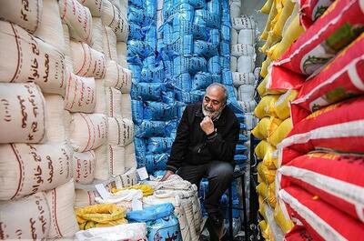 عرضه سنگین برنج به بازار / سقوط قیمت برنج آغاز شد