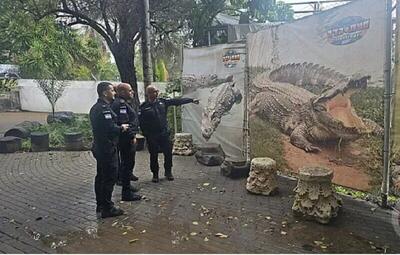 استخدام کروکدیل‌ها در اسرائیل؛ طرح ساخت «زندان تمساح‌ها» کلید خورد!