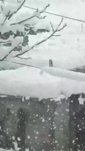  بارش سنگین برف در مریوان/ ارتفاع برف در روستای قلقله به نیم‌متر رسید