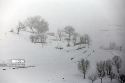 هشدار؛ جاده‌های گیلان برفی و لغزنده است