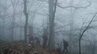 آتش سوزی جنگل‌های حاشیه منطقه حفاظت شده تالش مهار شد