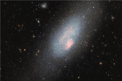 عکس روز ناسا از هم‌نشینی یک خرس با ستارگان بزرگ