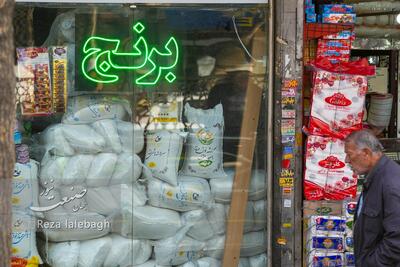 آغاز عرضه بی‌سابقه برنج هندی؛ ریزش قیمت به کانال ۱۵۷ هزار تومان