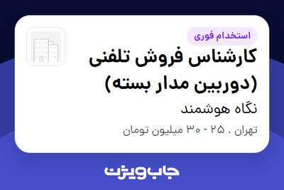  استخدام کارشناس فروش تلفنی (دوربین مدار بسته) - خانم در نگاه هوشمند