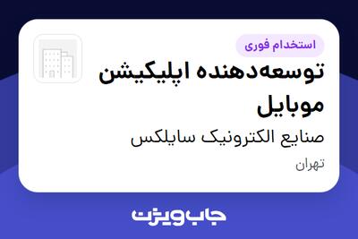  استخدام توسعه‌دهنده اپلیکیشن موبایل در صنایع الکترونیک سایلکس