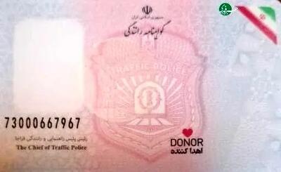 جزئیات درج نشان اهدای عضو بر گواهی‌نامه‌های رانندگی/ اهدای عضو به شرط رضایت خانواده