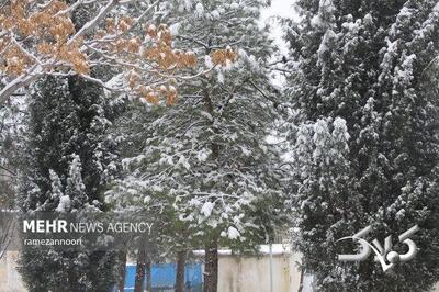 بارش برف و باران در راه استان ایلام - مجله اینترنتی کولاک