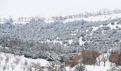 برف آمد، برق رفت، راه‌ها بسته ماند/ روستاها چرا هنوز در تاریکی‌اند؟