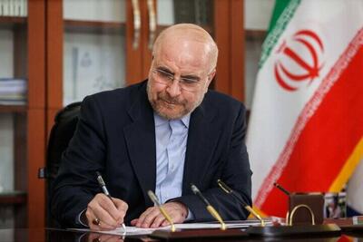 صف معترضین را با مزدوران خارجی یکی نمی‌دانیم