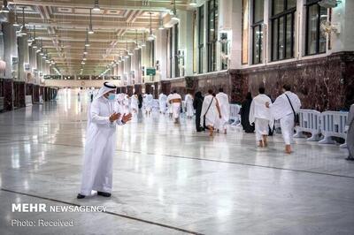 پیگیری نهایی برنامه‌های حج تمتع آتی و ارزیابی میدانی خدمات عمره