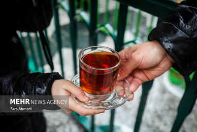  از چایخانه حضرت رضا(ع) تا مدار زمین