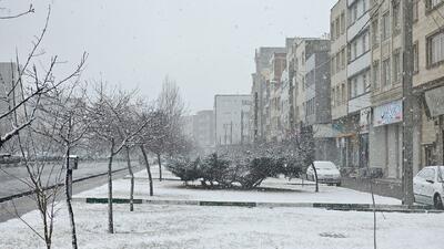  اردبیل سفید پوش شد