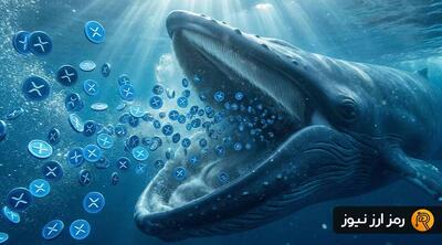 تغییر رفتار نهنگ‌های ریپل؛ قیمت به کجا خواهد رفت؟