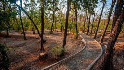 پارک خرگوش دره تهران؛ مقصدی مناسب برای طبیعت گردی