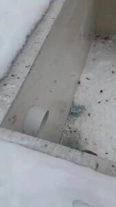 تلاش یکی از روستاییان میاب مرند برای نجات روباه و سوسار گرفتار در استخر+ فیلم