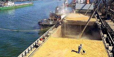 نهاده موجود در بنادر بیش از نیاز کشور است