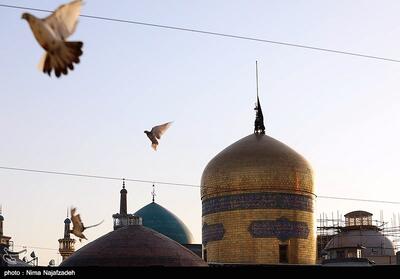 همایش جوانه‌های خورشید در سراسر مازندران آغاز شد - تسنیم