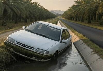 سقوط خودروی به کانال آب در دشتستان یک کشته بر جای گذاشت - تسنیم