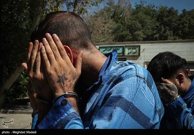 کشف سلاح‌های دست‌ساز از مخفیگاه مخلان امنیت   در کرمانشاه فیلم - تسنیم