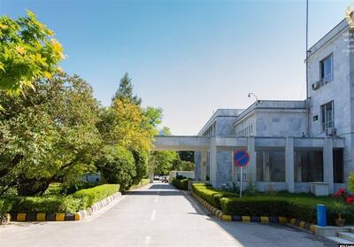 طالبان: طرف‌ها از اقدامات تهدیدآمیز علیه یمن خودداری کنند - تسنیم