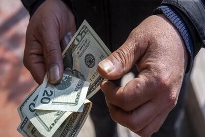 تثبیت دستوری نرخ ارز به ثبات اقتصادی منجر نمی شود/باید واقع بین بود