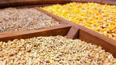 نهاده موجود در بنادر بیش از نیاز کشور است