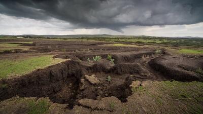 سالانه ۵ میلیون تن کود کشاورزی و آلی مورد نیاز بخش کشاورزی است + فیلم