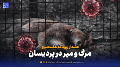 مرگ و میر در پردیسان