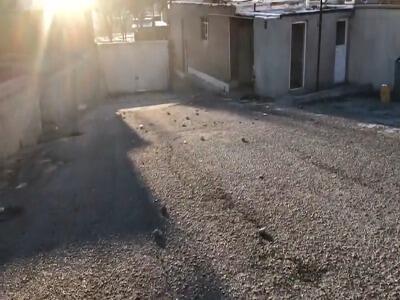  شهادت یکی از مدافعان امنیت در ملکشاهی؛ کشف نارنجک اسرائیلی از تروریست‌های مسلح