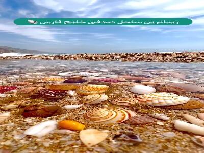  زیباترین ساحل صدفی خلیج فارس