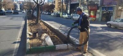  آغاز اجرای سیستم آبیاری قطره‌ای با هدف مدیریت مصرف آب و حفظ فضای سبز