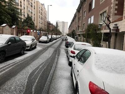 بارش برف، شمال تهران را سفید پوش کرد