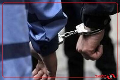  بازداشت سه آشوبگر مرتبط با شبکه صهیونی اینترنشنال