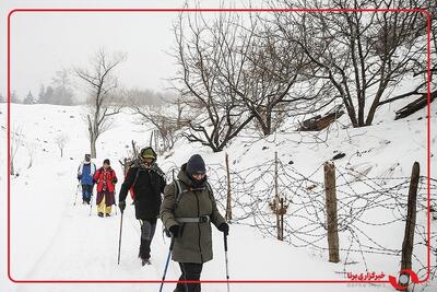  نشاط و برف بازی شهروندان در دماوند